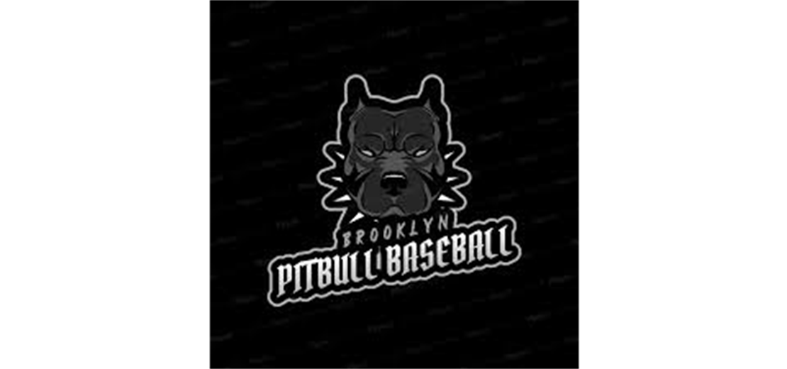 Sponsored By Brooklyn Pitbulls Baseball